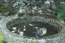 DSCF1899.webp