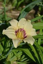 DSC_4869.webp