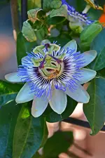 DSC_4876.webp
