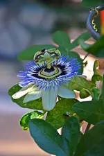 DSC_4877.webp