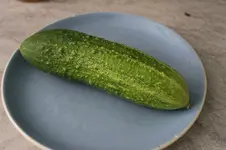 delikatess.jpg