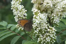 DSCF1877.webp