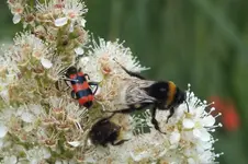 DSCF1881.webp