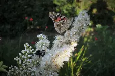 DSCF1902 (2).webp