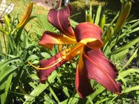 BILD4219.webp