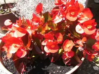 BILD4216.webp