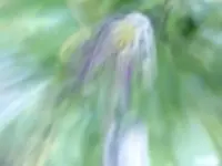 P1430817.webp