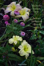 IMG_1457.webp