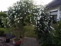 20150613_204222.webp