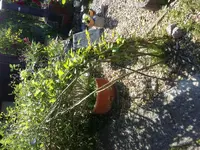 20150707_104751.webp