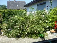 20150707_104831.webp