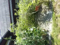 20150707_104813.webp