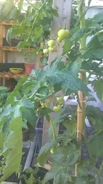 WP_20150707_12_01_16_Pro.jpg