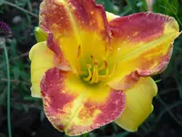 DSCN9416.webp