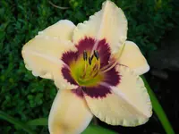 DSCN9419.webp