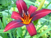 DSCN9415.webp