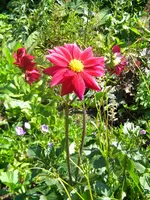DSCN9427.webp
