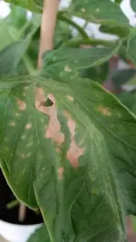 20150707_195154_resized.webp
