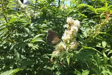 DSCF1946.webp