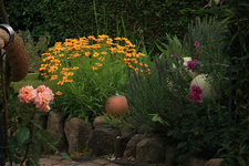 Beet am 600er Teich_640.webp