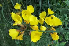 DSCF1905.webp