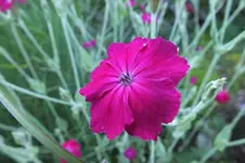 DSCF1913.webp