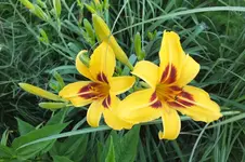 DSCF1926.webp