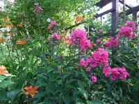 013.webp