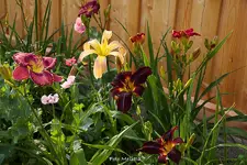 IMG_1498.webp