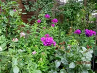 IMG_5487.webp