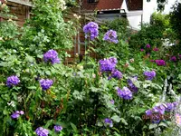 IMG_5485.webp