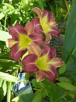 P1460330.webp