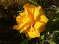 P1460342.webp