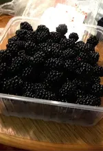 Brombeeren.webp