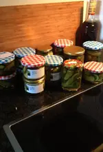 Gurken eingemacht.jpg