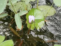 P7080625.webp