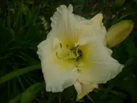 k-DSCI3525.webp