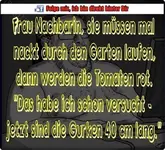 11665566_1610602325890201_874732236760358717_n.webp