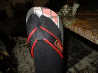 DSCF9071.webp
