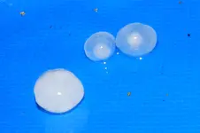 Unwetter_0007.webp