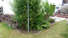 20150707_151246.webp