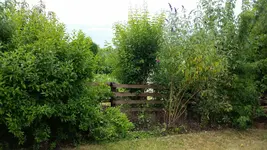 20150707_151320.webp