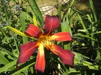 BILD4239.webp
