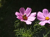 BILD4236.webp