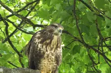 DSCF1963.webp