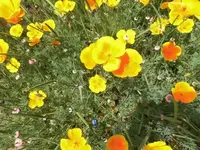 Bilda006.webp