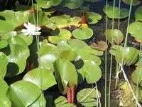 Bilda072.webp