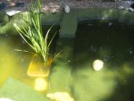 BILD4229.JPG