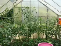 k-P1090675.webp