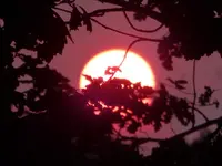 P1450931.webp